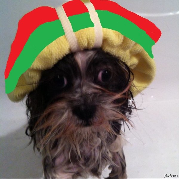 ���������� ���