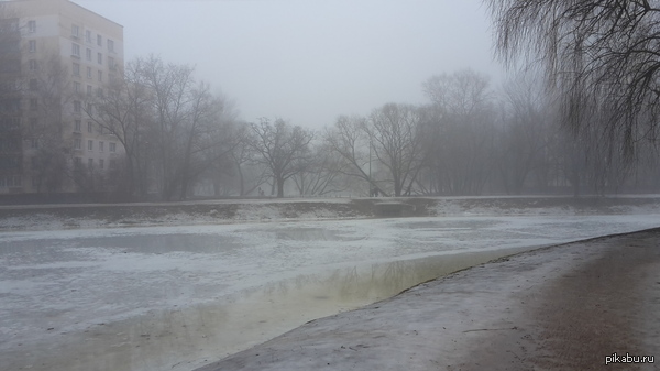 Вот такой вот Silent Hill сейчас в Петербурге.