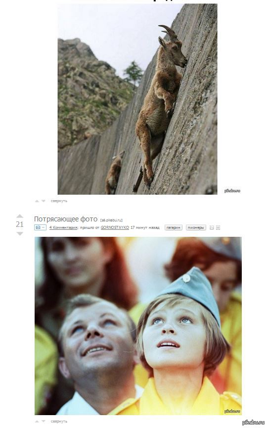 ��������� �������