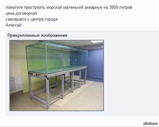 ������� ��������� ��������...