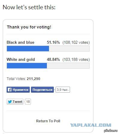 ������ �����?