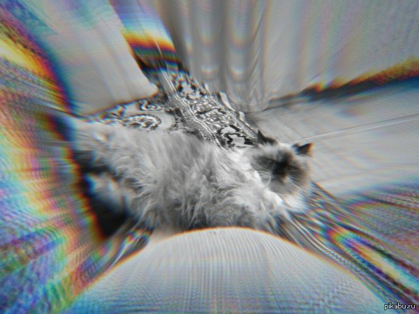 После Качественной валерианки