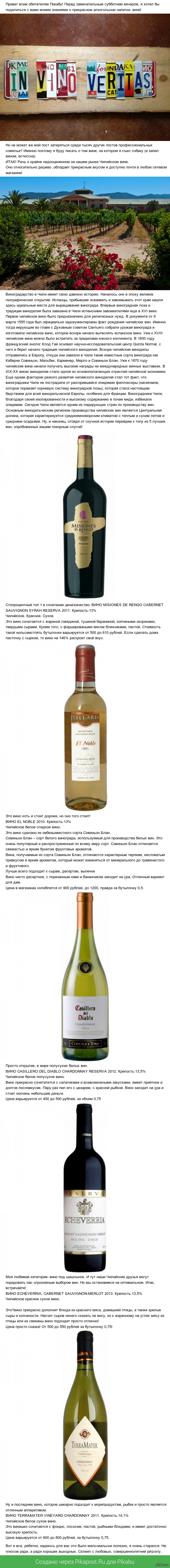 Немного о чилийском Вине