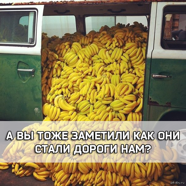 103 ���/��, ���������