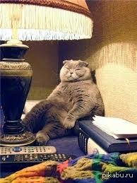 ����� ����������� ���� � �������: