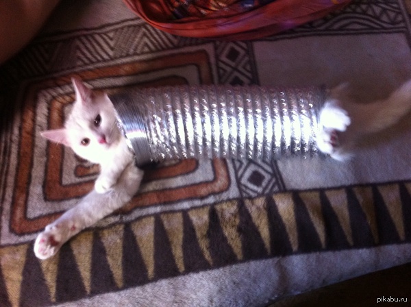 Утро начинается не с кофе