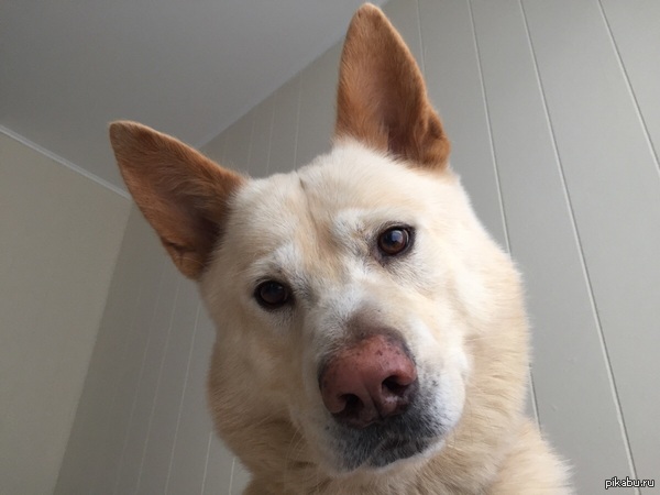 ��������� ���?