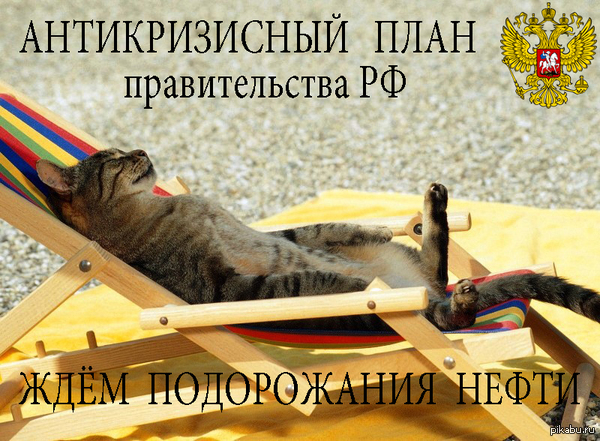 ����� ������������� ����