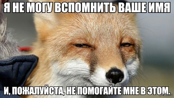 �, ����������, �� ��������� ��� � ����