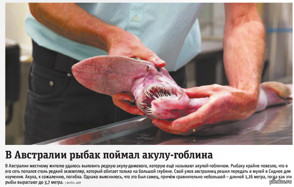     -  : http://issuu.com/metro_russia/docs/20150304_ru_petersburg/7?e=0