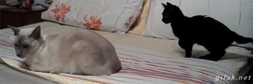 &quot;     ?   . :'(&quot;