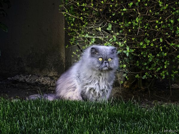 "� ����� ������ ���� �� �����. �� ��� ���������"