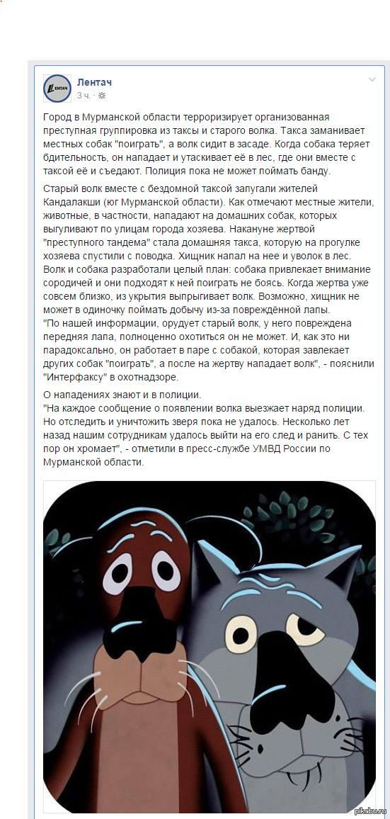 стикер ты заходи если что. Смотреть фото стикер ты заходи если что. Смотреть картинку стикер ты заходи если что. Картинка про стикер ты заходи если что. Фото стикер ты заходи если что