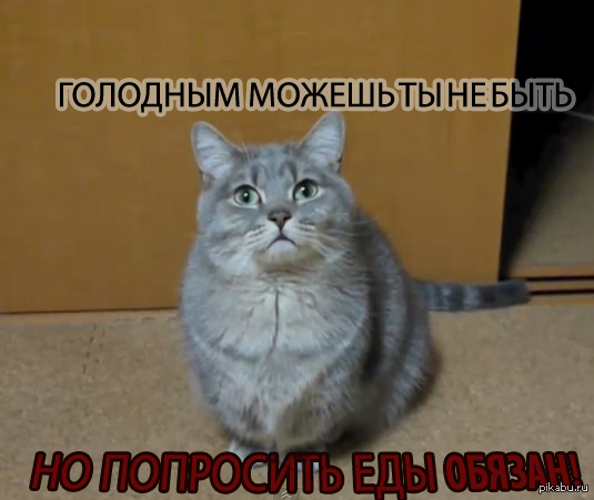 ����-������