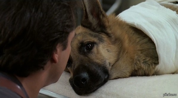 ������� ������