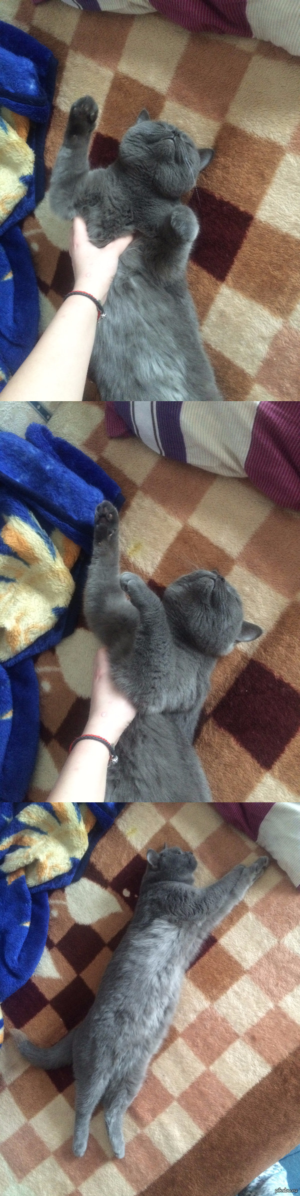 ��� ��� �������, ����� ��� ����� �������� :)