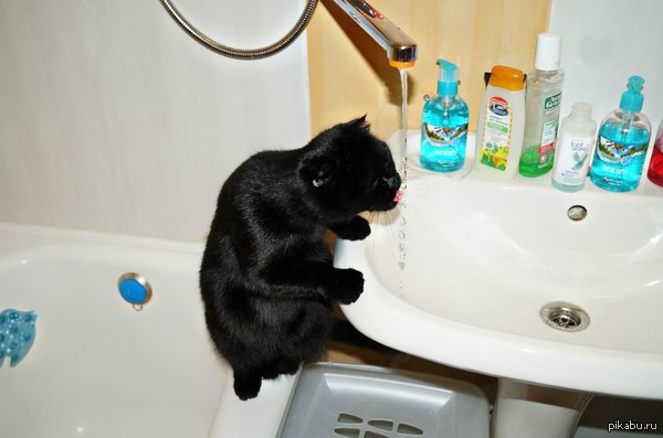 ����� ����� ����� ����� ��� �����