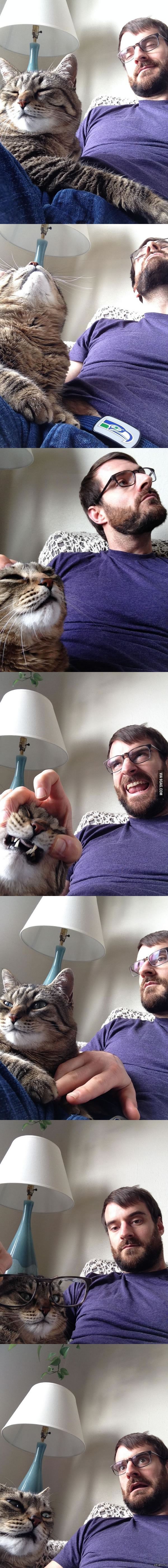 "Моя жена сегодня задержалась на работе, так я и моя кошка отправили ей наши селфи"