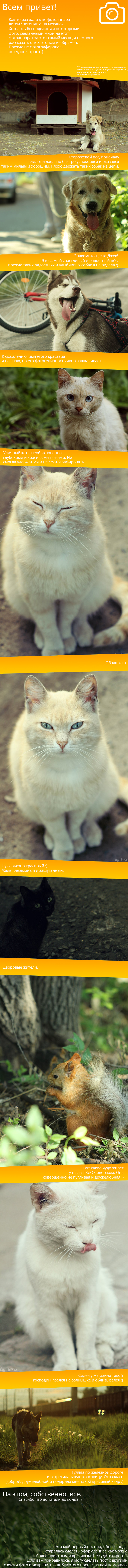 �������� �� ���������� � ���� ������ ������������ ������ ����� :)