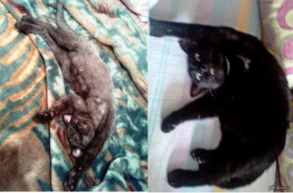 ��� ��� � �������� � 5 ���