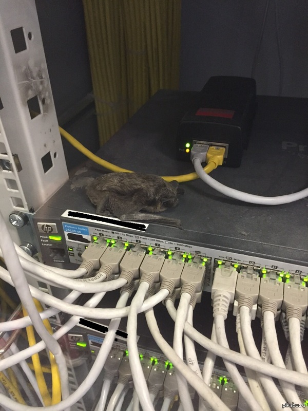 &quot;      ...&quot;