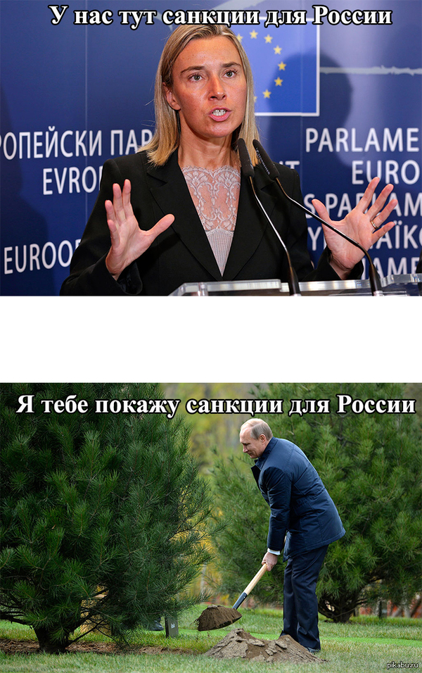 Я тебе покажу санкции...