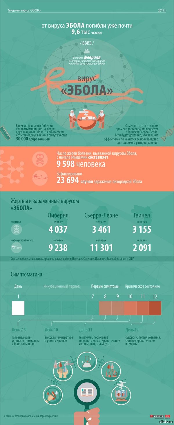 ИНФОГРАФИКА: Вирус Эбола в цифрах