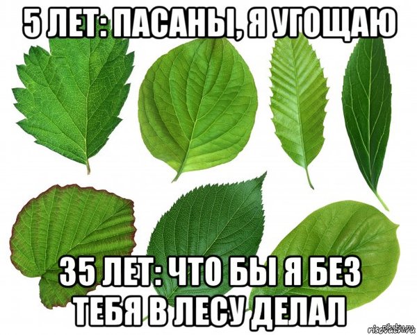 ,     <a href="http://pikabu.ru/story/byilo_vremya_3145162">http://pikabu.ru/story/_3145162</a>