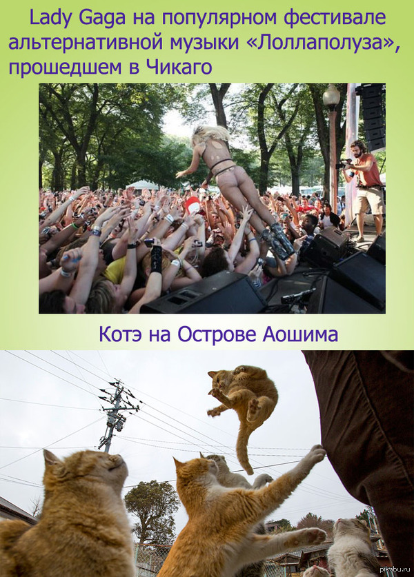 ������ 1 ����)