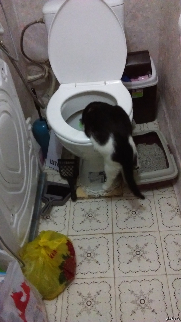 ��� ������� ��� ����� �������