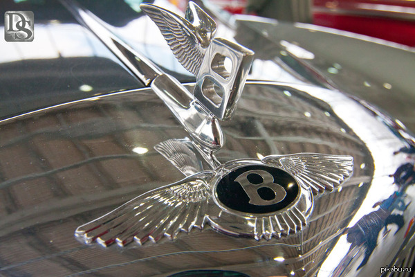 Автомобили в объективе фотоаппарата