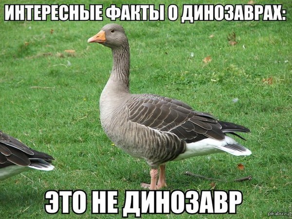 ���������� ����� � ����������