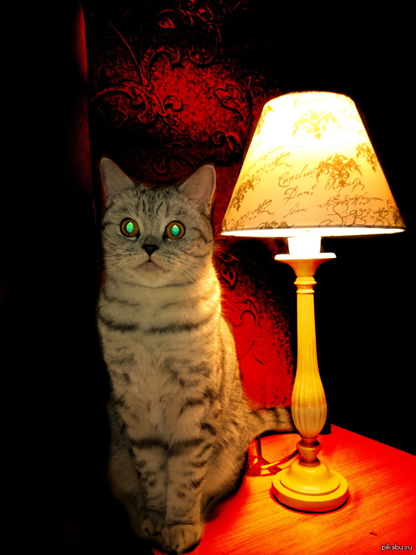 ������� ������������ �������.