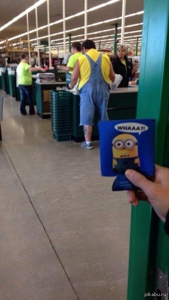 despicable him