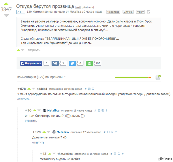 Донателло не любит Metallic`у