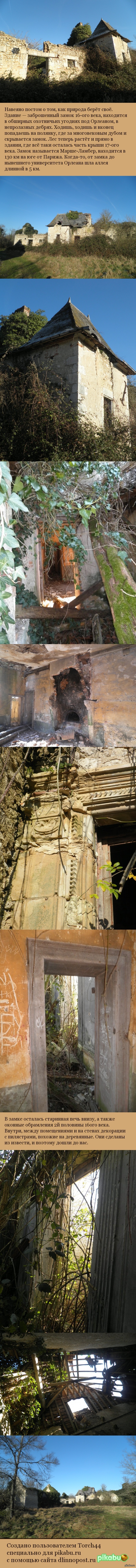 Побеждённый лесом замок во Франции