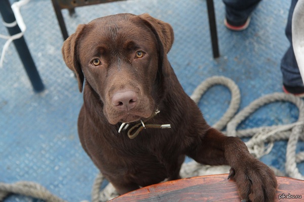 Просто фото