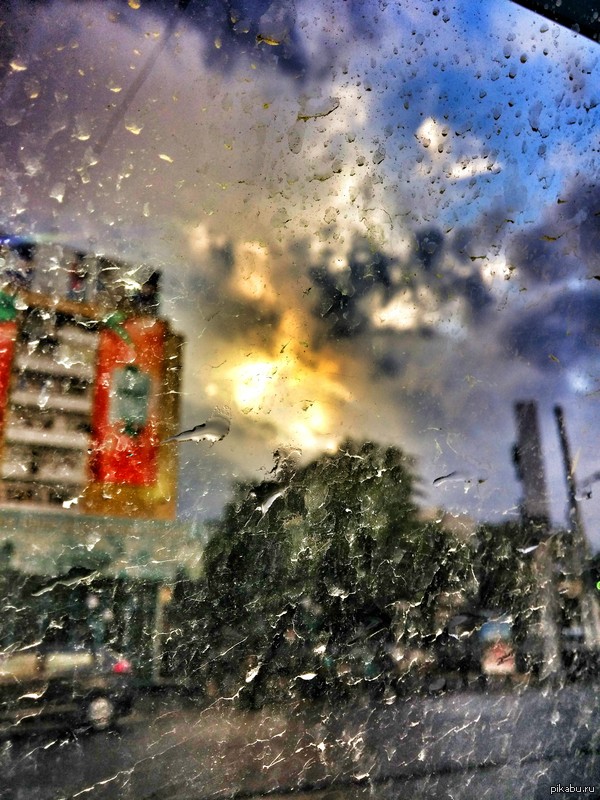 ����. �����. �������