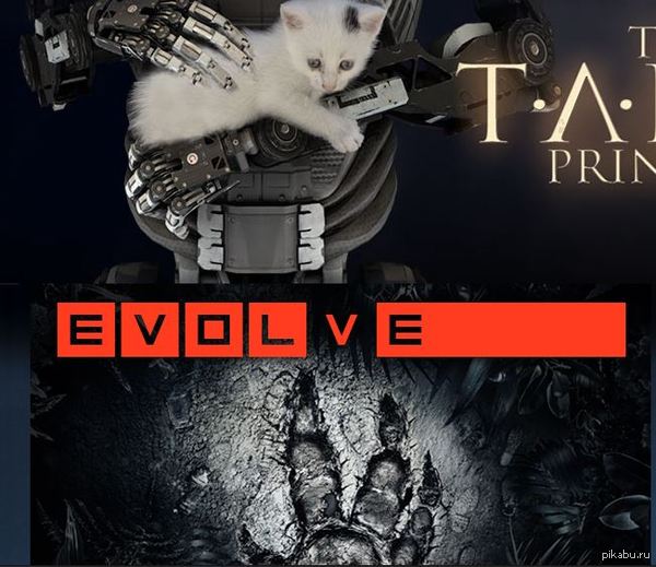 ����� ������� ������� � Steam