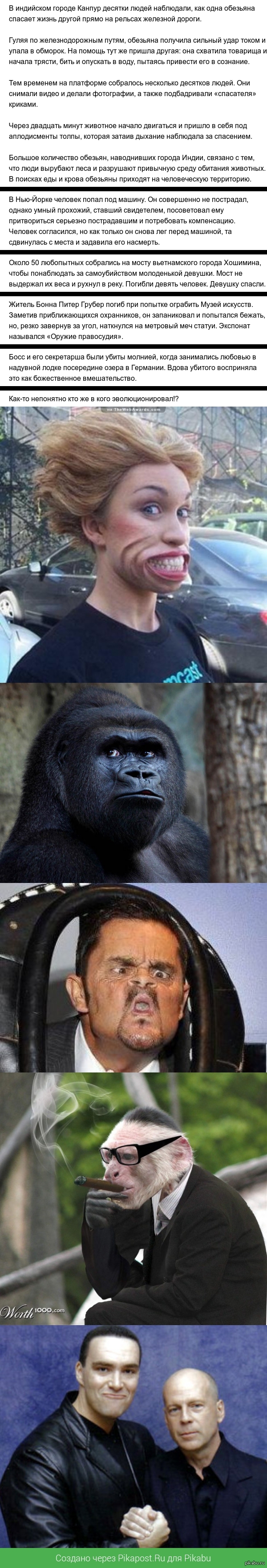Эволюция, мать ее...