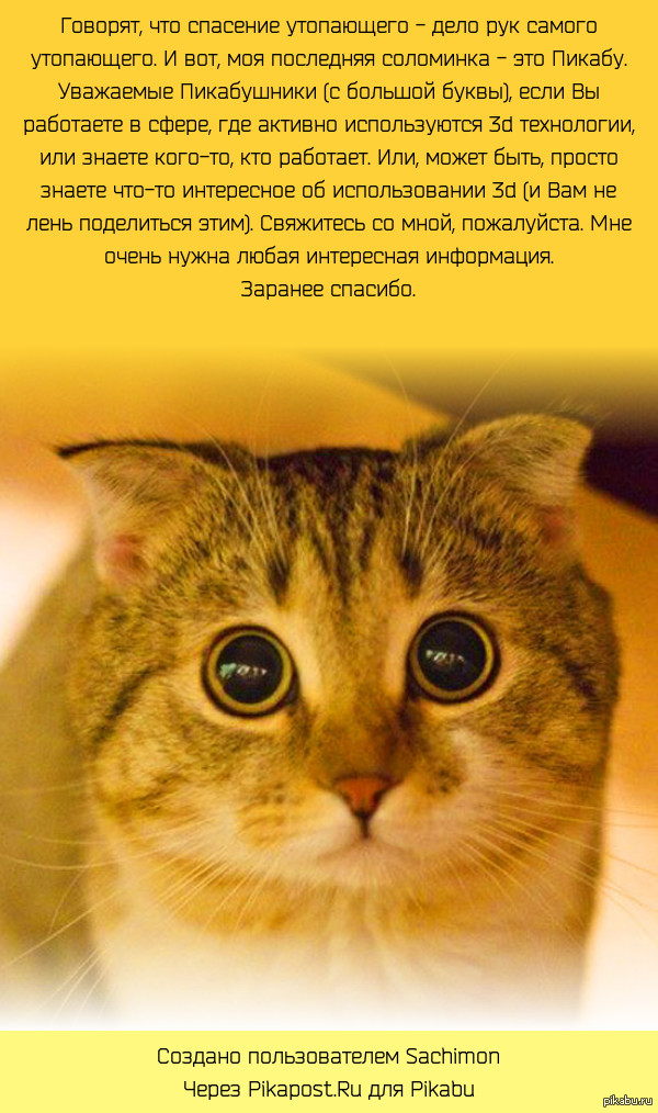 �����������, �������� � �����������