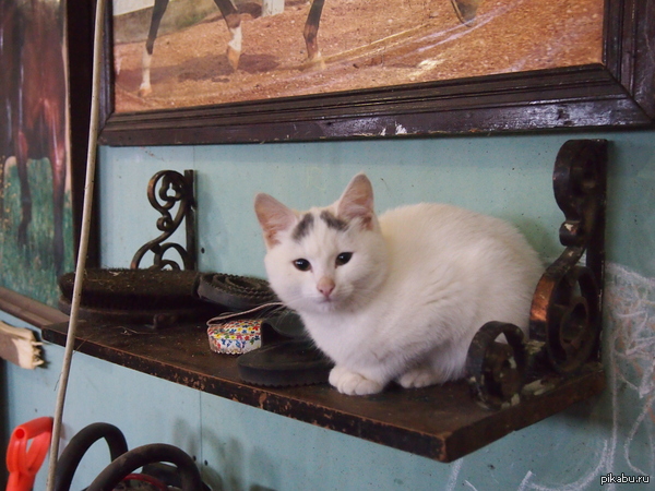 ������� ���