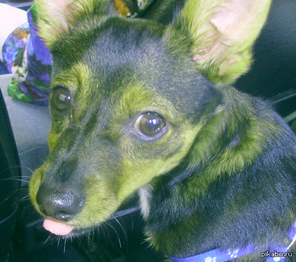 ����� �������� ������ �� ������