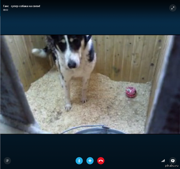        Skype Skype      ,     )       .