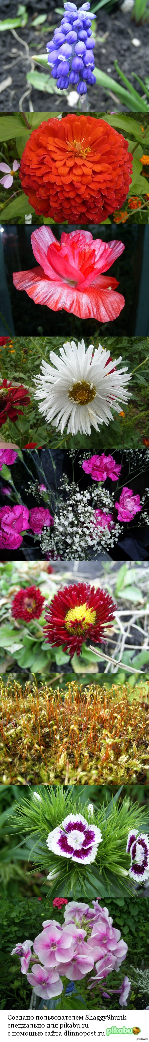 �� �����.