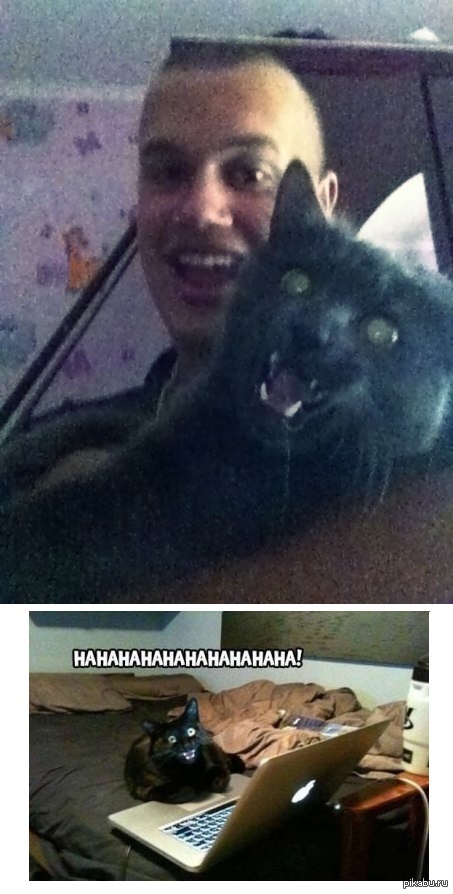 ���������� �����  :3