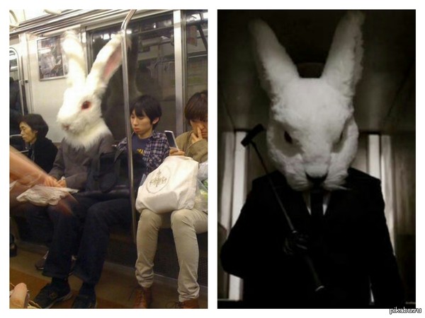 Кролик из Отбросов уже не тот