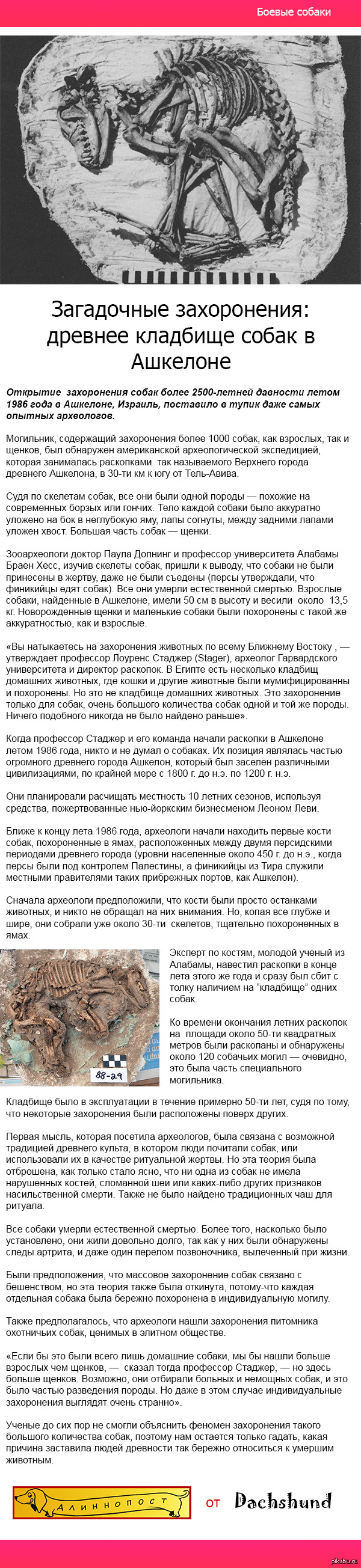  :        New York Times,       .   - <a href="http://pikabu.ru/story/alanskaya_sobaka_3158449">http://pikabu.ru/story/_3158449</a>
