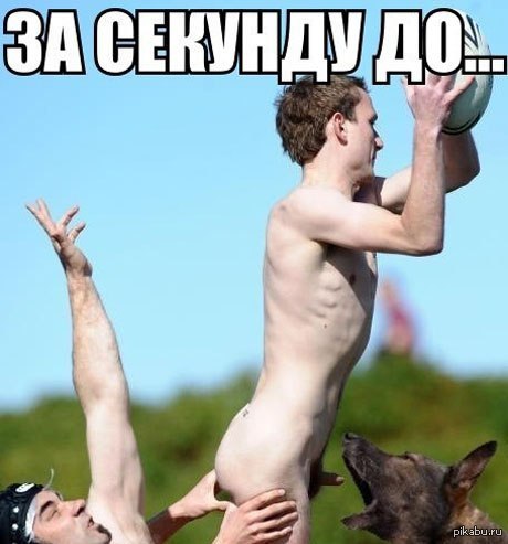 За секунду до.. :) - NSFW, За секунду до, Собака, Регби