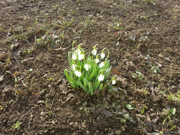 �������� ������ �� ������